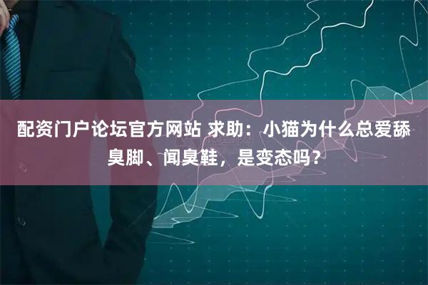 配资门户论坛官方网站 求助：小猫为什么总爱舔臭脚、闻臭鞋，是变态吗？