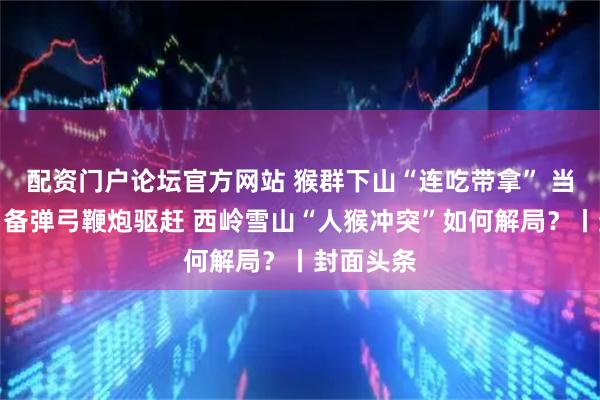 配资门户论坛官方网站 猴群下山“连吃带拿” 当地村民自备弹弓鞭炮驱赶 西岭雪山“人猴冲突”如何解局？丨封面头条