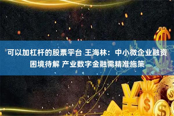 可以加杠杆的股票平台 王海林：中小微企业融资困境待解 产业数字金融需精准施策