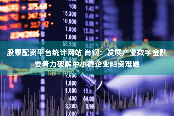 股票配资平台统计网站 肖钢：发展产业数字金融要着力破解中小微企业融资难题