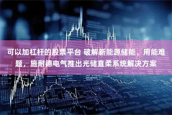 可以加杠杆的股票平台 破解新能源储能、用能难题，施耐德电气推出光储直柔系统解决方案