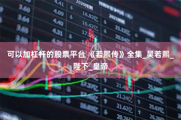 可以加杠杆的股票平台 《若熙传》全集_吴若熙_陛下_皇帝