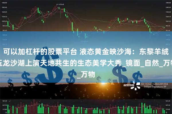 可以加杠杆的股票平台 液态黄金映沙海：东黎羊绒玉龙沙湖上演天地共生的生态美学大秀_镜面_自然_万物